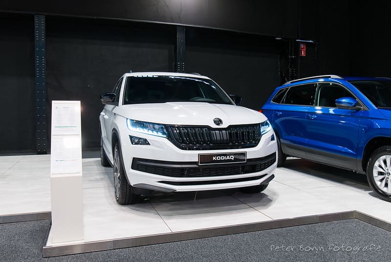 Skoda Kodiaq - Fehler und Mängel