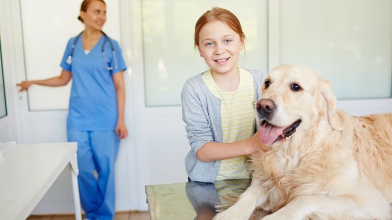 Medikamente gegen Mittelohrentzündung beim Hund 